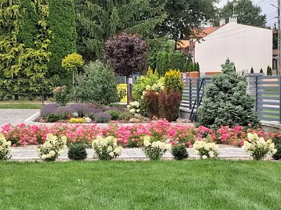Green Garden - Ogrody - Łukasz Janus